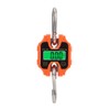 250kg Portable Hand Electronic Scale LCD Display with Backlight kg