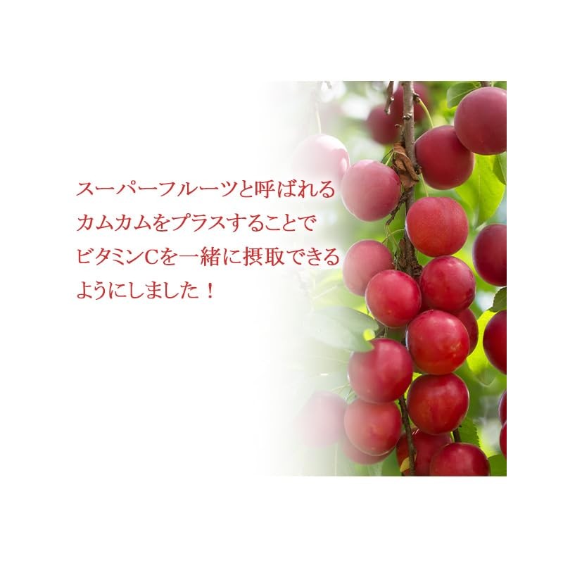 【リプサ公式】 ヘスペリジン(ビタミンP) 約1か月分×3袋 C-305-3 サプリメント