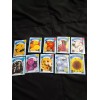 American Seed flower seeds mix set of 12 and 6