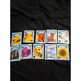 American Seed flower seeds mix set of 12 and 6 free