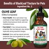 BlackLeaf Tincture for Pets - 2 Pack