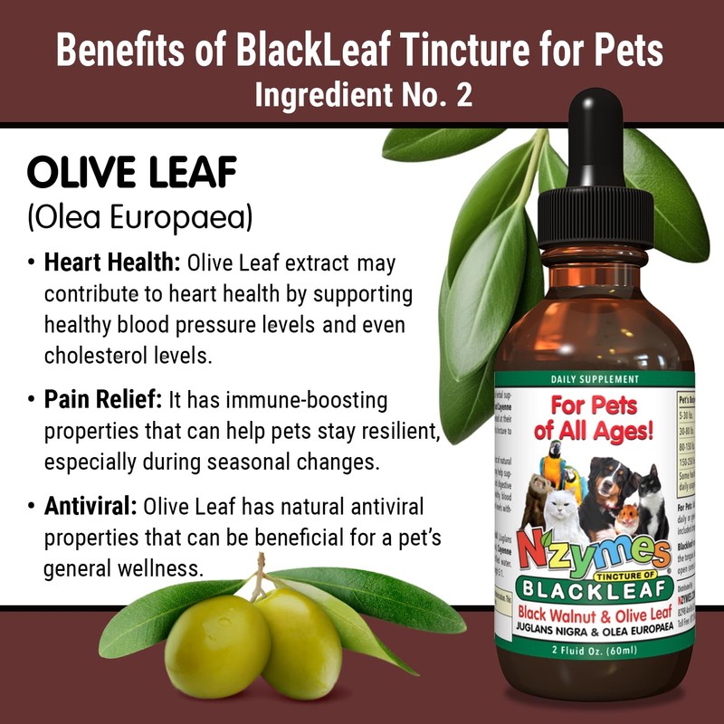 BlackLeaf Tincture for Pets - 2 Pack
