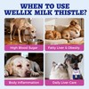 Wellix 120ml Milk Thistle for Cats & Dogs, Advanced Formula