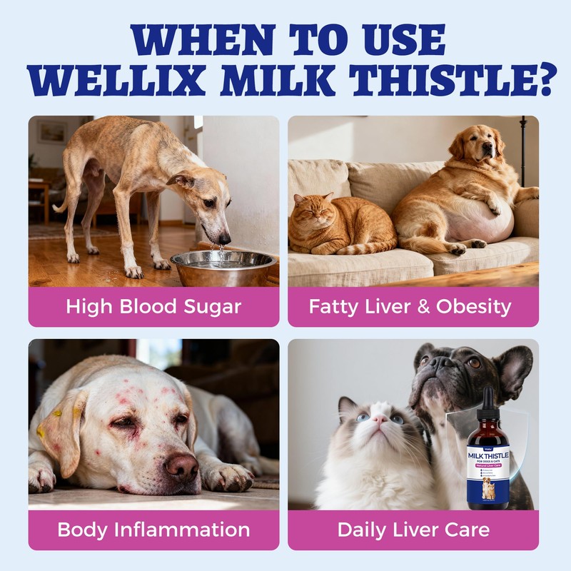 Wellix 120ml Milk Thistle for Cats & Dogs, Advanced Formula