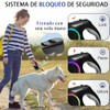 Correa Retráctil para Perro con Luz Led, 6 M Correa