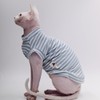 Sphynx Cat Clothes Pure Cotton Soft and Stretch Spring and