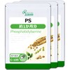 Lipsa PS (Phosphatidylserine) C-105-3 (60 capsules x 3 bags), Supplement,