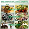 Full Spectrum 84 LED Grow Light for Indoor Plants, 6500K