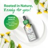 Rainbow Light Dandelion Root Extract Supplement | 2 Fl Oz