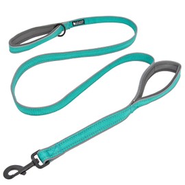 Leashboss Double Handle Dog Leash, 6 Ft Reflective Dog Leash with Two Padded Handles for Large Dogs or Medium Dogs That Pull (Aqua)