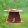 Backyard Essentials Collapsible Metal Mesh Bird Feeder with Tray -