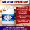 Fiberglass Supply Depot Black Gelcoat With Wax Gallon with 60cc