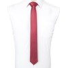 JEMYGINS Men's Necktie, Extra Narrow Tie, Skinny Tie, 2.4 inches