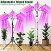yentbokj Grow Lights for Indoor Plants,5 Heads Red Blue White