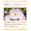 桜吐息120粒 約4ヶ月分 NEWローズサプリ誕生 バラと桜のフレグランスサプリ 桜ローズ