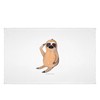 Mr. & Mrs. Panda 50 x 100 Hand Towel Sloth
