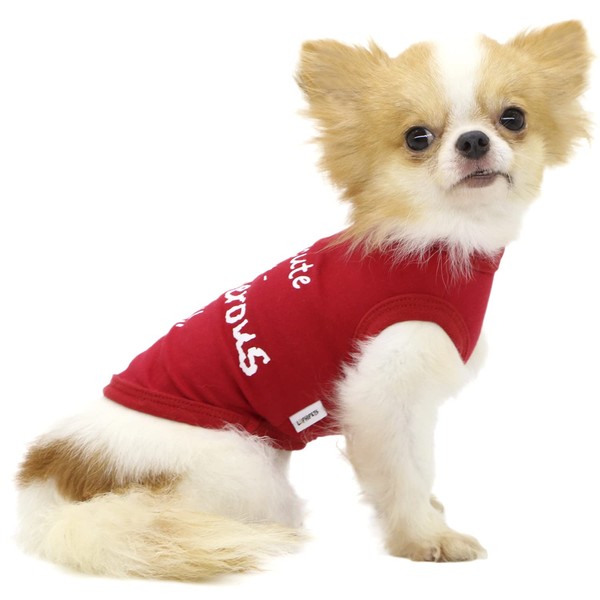 LOPHIPETS Dog I'm Cute But Dangerous Letter Print Shirts for