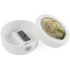'Cute Cauliflower Sheep' Compact Pencil Sharpener (PS00046218)