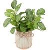 Northlight Reticulated Artificial Spring Foliage in Ceramic Pot - 8"