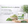 Alfalfa N2000 500 mg, 90 Cápsulas, Concentrado de Alfalfa Liofilizada