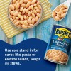 Bush's Best, Cannellini Beans White Kidney Beans, 15.5 Ounce