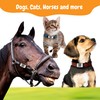 Smart Slide-On QR Code Pet Tag – Silent Dog &