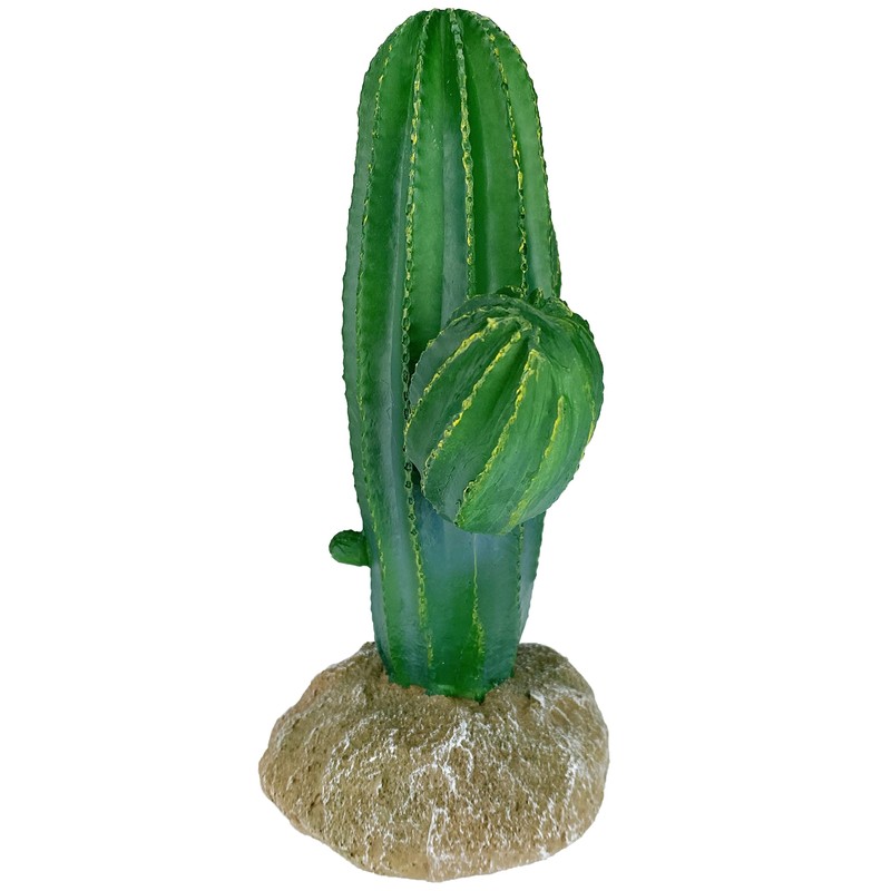 Multi Pet 48593324: Komodo Cactus Plant Saguaro, 9.5In