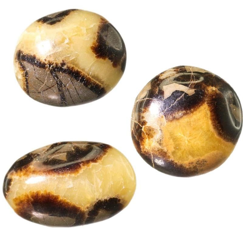 Septaria Stone 4 to 6 cm Natural Lithotherapy Collection Minerals