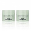 Doctor Eckstein Glossy Lip Balm - Protective Lip Care with
