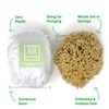 XL 18CM Sea Sponge Unbleached Honeycomb Natural Seasponge for Bath