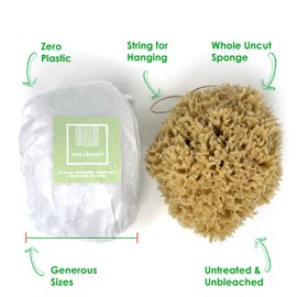 XL 18CM Sea Sponge Unbleached Honeycomb Natural Seasponge for Bath Use, for Baby, or Art use (XL Size Approx 16-18cm)