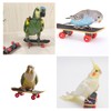 ZHEJIA Bird Toy, Mini Skateboard Toy, Pet Supplies, Educational Education,