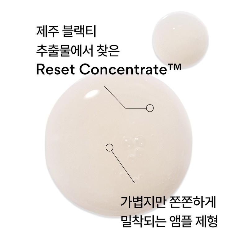 Innisfree Black Tea Youth Enhancing Ampoule Large Capacity 50mL /