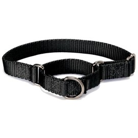 PetSafe Martingale Collar, 3/4" Small, Black