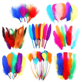 HaiMay 400 Pieces Colorful Feathers Bulk 8 Style Mixed Natural Feathers for Craft Wedding Home Party Decorations Dream Catcher Supplies and DIY Crafts, 3.5-8 Inches Colorful Craft Feathers