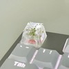 1Pcs High Quality Epoxy DIY Translucent Leaves Dry Flowers Paper