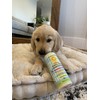 California Baby Hypoallergenic Dog Shampoo + Conditioner | 100% Plant-based