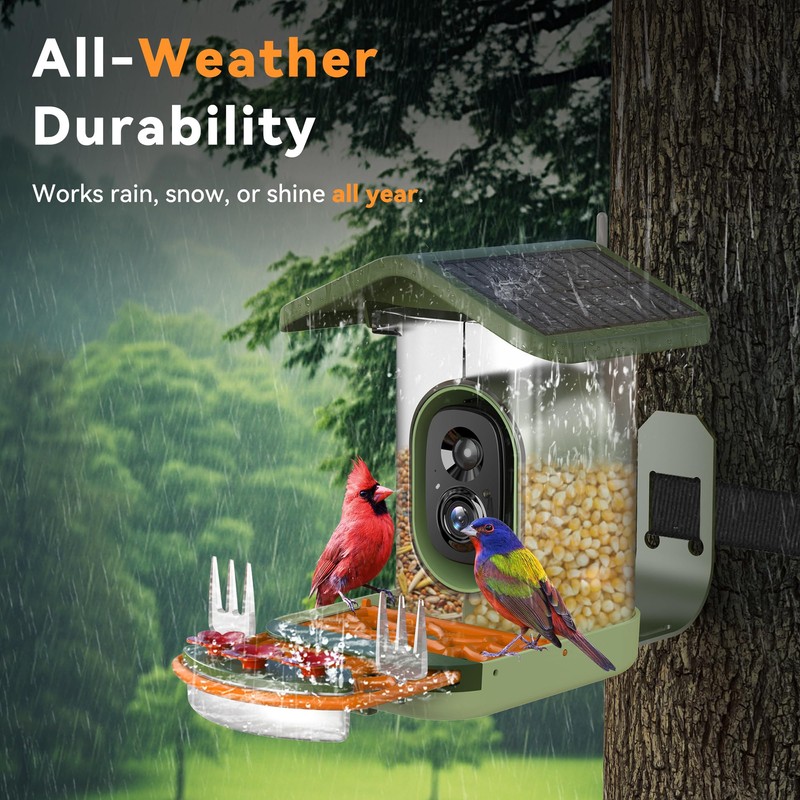 Smart Bird Feeder with Camera