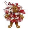 Plush Gingerbread Wreath Accent (5 pc) Wreath Decor Kit