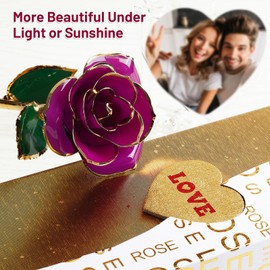 Mikasol Gold Dipped 24K Forever Preserved Rose, 1 Pack Infinity Flower Decor Hand Dipped Romantic Gift for Women in Her Wife Girlfriend Birthday Anniversary Valentines Mothers Day Christmas(Purple)