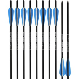 PANDARUS Archery Carbon Crossbow 17/20/22-Inch Arrows Bolt Crossbolt Fletched 4 Inch Vane with Field Point (Pack of12) (17 inch)