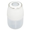 Electric Garlic Chopper 3 Blade Powerful Motor Multifunctional Food Processor