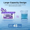 W&E Choice Moisture Absorber, Lavender Scented Dehumidifier for Home, Large
