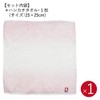 Nishikawa TT88500030P Imabari Towel Gift Box, 1 Handkerchief Towel, Watairo