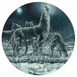 POFATO Snow Wolves Round Tablecloth 48 Inch Circle Table Cloth Waterproof Stain Resistance Table Cloth Round Cover for Dining Kitchen Party Holiday Decor Indoor and Outdoor