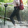 ALEVMOOM Walking Cane with Seat,Portable Folding Cane,Crutches Stool for Adults,Lightweight
