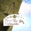 Sign Chinchilla Decoration 20 x 10 cm - All you