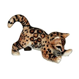 Little Critterz "Simba" Bengal