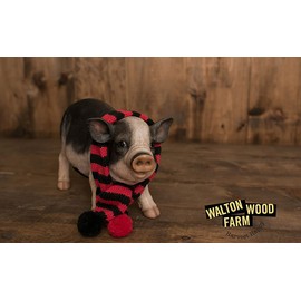 Walton Wood Soap - Boy's Don't Stink 10.5oz (Sandalwood & Citrus) 3-Pack