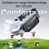 Dog Training Collar with Remote, Electric Dog Collar for Larege